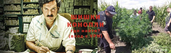 гидра Баксан