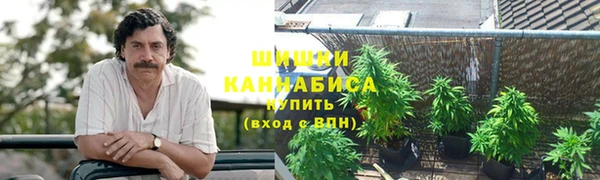 прущие крисы Балабаново